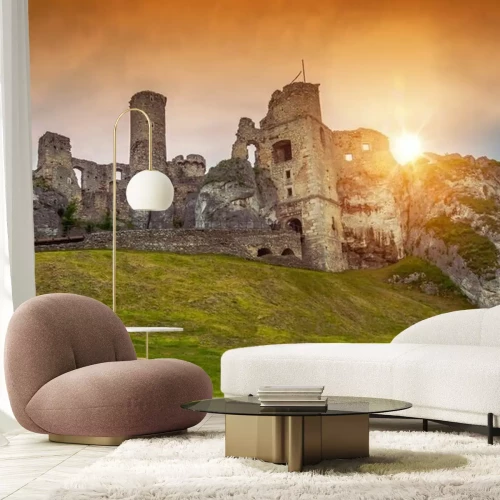 Fotobehang Kasteel Ogrodzieniec in Polen