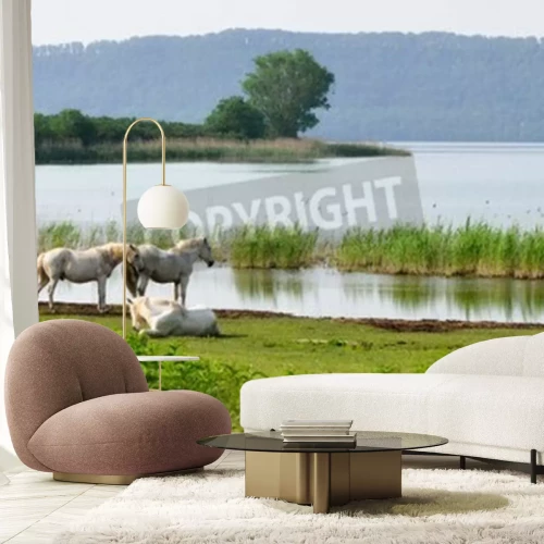 Fotobehang Paarden op een meer