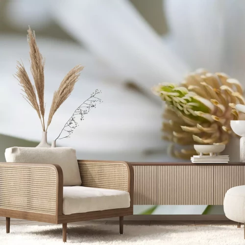 Sticker Macrofotografie van het centrum van een magnolia