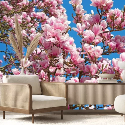 Sticker Takken van een bloeiende magnolia