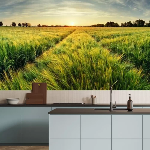 Fotobehang Zonsopgang boven een groen veldlandschap