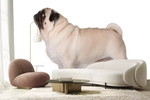 Visualisatie van het product