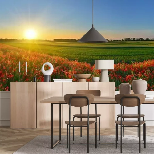 Fotobehang Panorama van een veld met rode bloemen