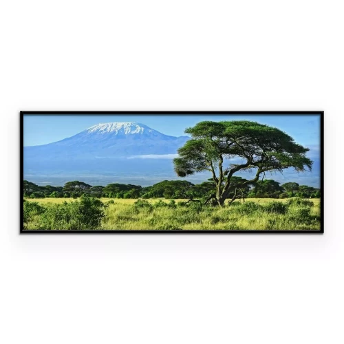 Poster Groen landschap met de Kilimanjaro op de achtergrond.