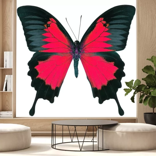 Sticker Rood-zwarte vlinder op witte achtergrond