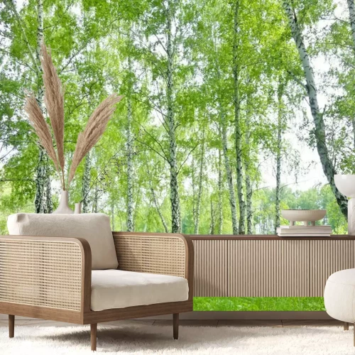 Fotobehang Berkenbos in de zomer