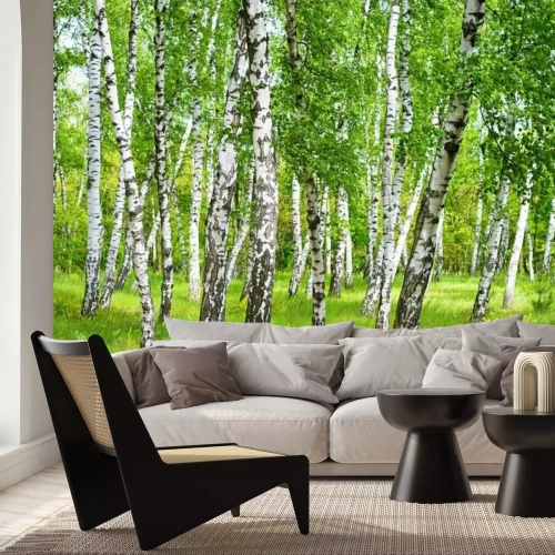 Fotobehang Dicht berkenbos