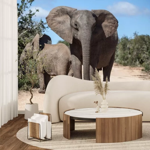 Sticker Afrikaanse Olifanten in Zuid-Afrikaanse Park