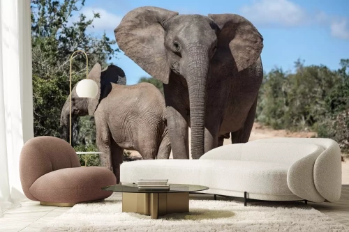 Visualisatie van het product