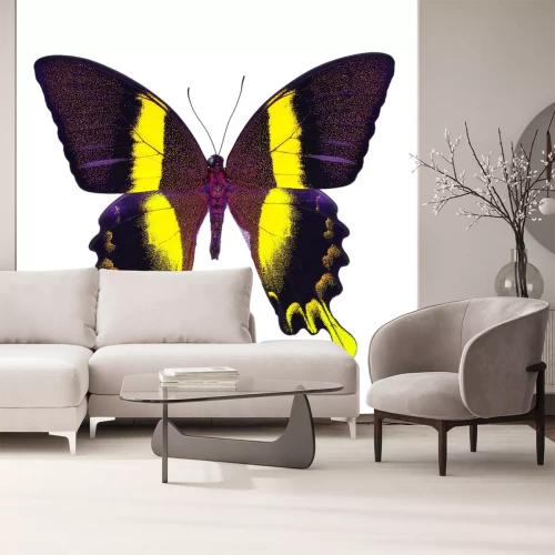 Sticker Kleurrijke vlinder op een witte achtergrond