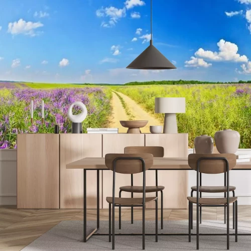 Fotobehang Panorama van een landwegje en grasvelden