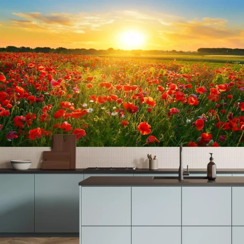 Fotobehang Een veld klaprozen bij zonsopgang, een zomerlandschap