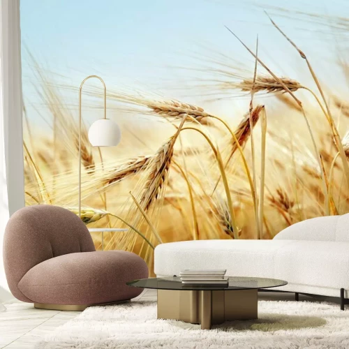 Fotobehang Korenaren en natuur