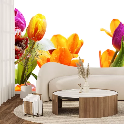 Fotobehang Gekleurde tulpen