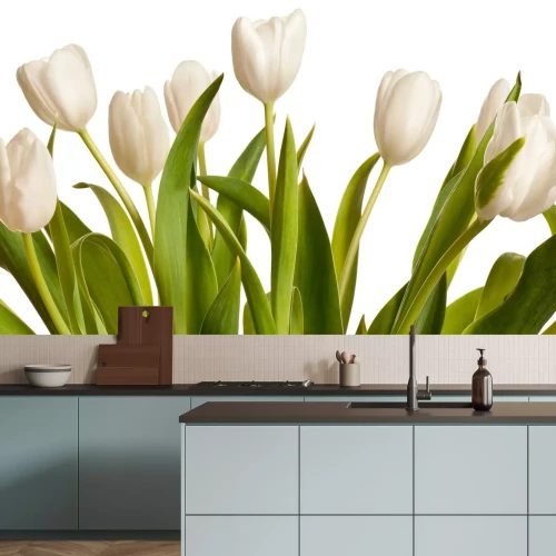 Fotobehang Witte tulpen met groene bladeren