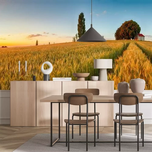 Fotobehang Zonnig panorama met een tarweveld