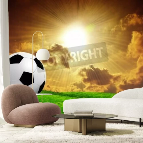 Fotobehang Voetbal in de zonsondergang