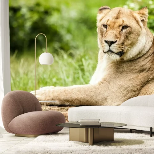 Fotobehang Leeuwin liggend op een boom