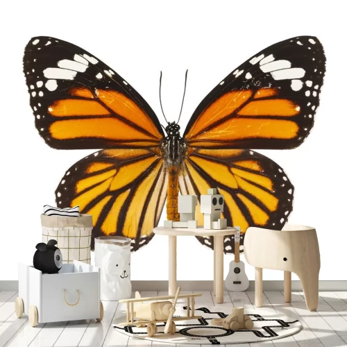Sticker Een grote vlinder met oranje-zwarte vleugels