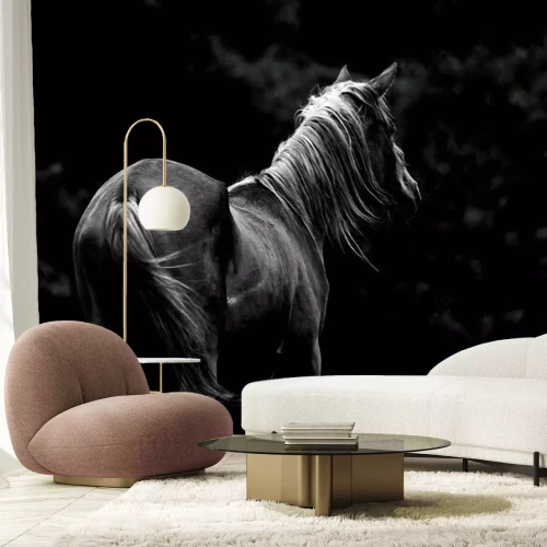 Fotobehang Grijs silhouet van paarden