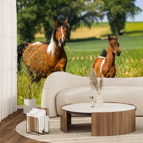 Fotobehang Paard en veulen tussen de grassen