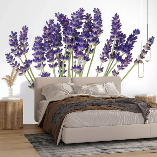 Sticker Lavendelbloem op een neutrale achtergrond