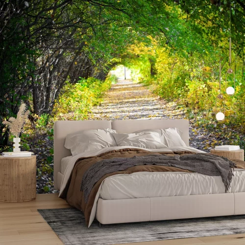 Fotobehang Tunnel van takken