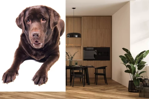 Visualisatie van het product