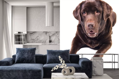 Visualisatie van het product