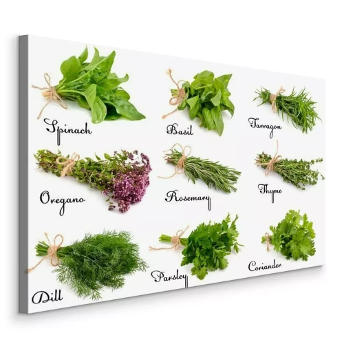 Canvas Verzameling van kruiden en specerijen voor het koken