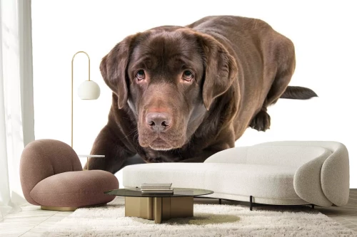 Visualisatie van het product