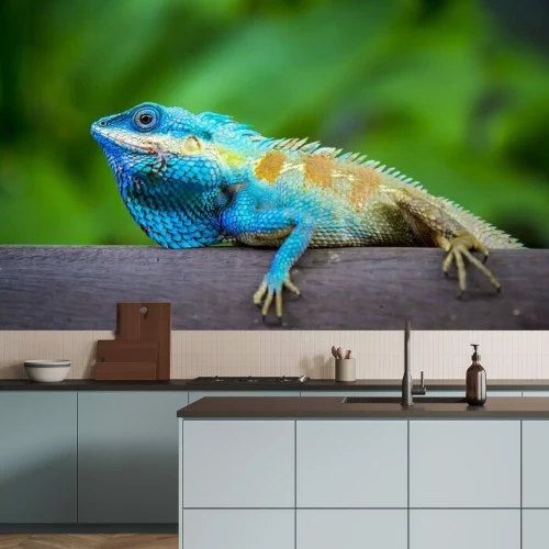 Fotobehang Een kleurrijke kameleon tegen een groene achtergrond