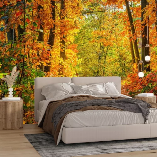 Fotobehang Een pad in het herfstbos