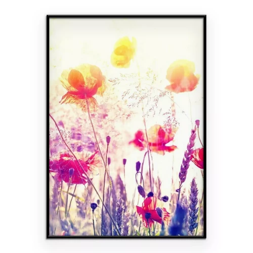 Poster Een weide vol wilde bloemen in het licht van de zonsopgang.