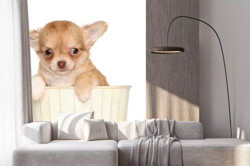 Visualisatie van het product