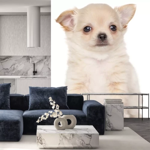 Sticker Witte puppy op lichte achtergrond