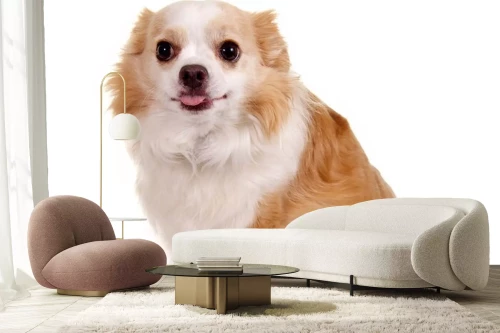 Visualisatie van het product