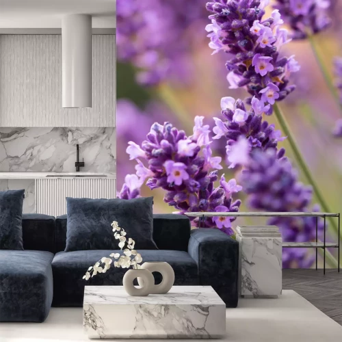 Sticker Lavendel bloesems