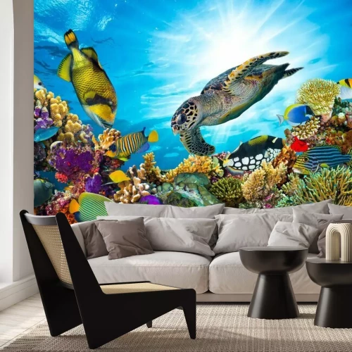 Fotobehang Zeeschildpadden en koraalrif