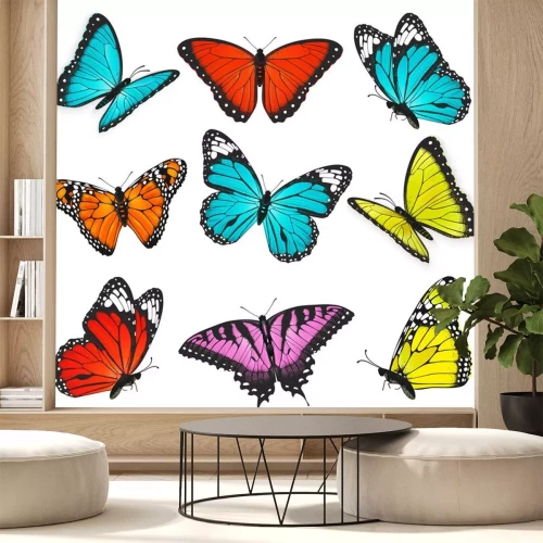 Sticker Verschillende vlinders op een lege achtergrond