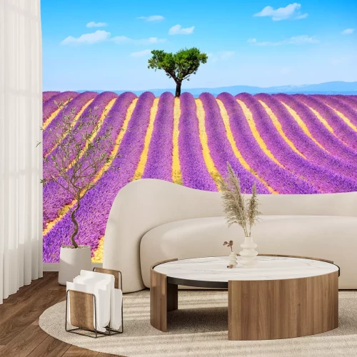 Sticker Lavendelvelden met één boom