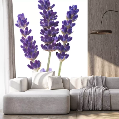 Sticker Vergrote lavendelbloem