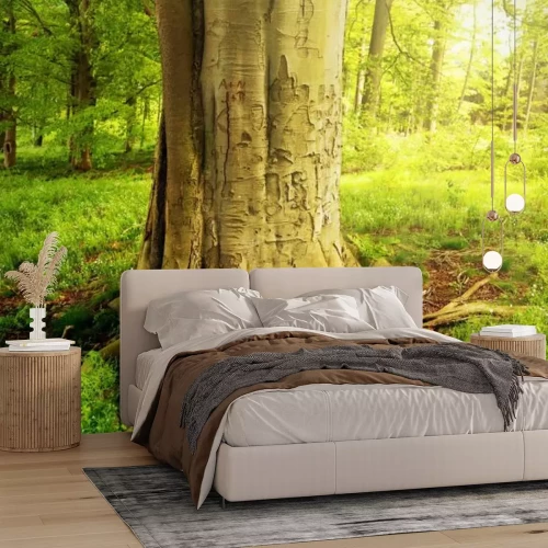 Fotobehang Een boom in een groen bos op een zonnige dag