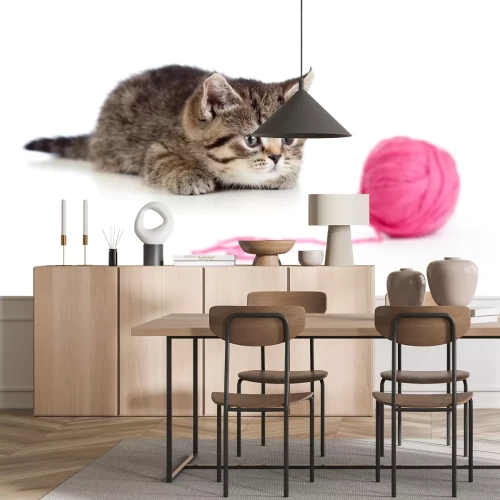 Sticker Britse katje spelen rode clew of bal geïsoleerde