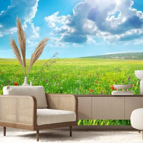 Fotobehang 3D weide in de zon