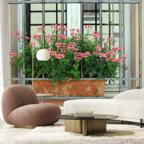 Fotobehang De Italiaanse roze geranium