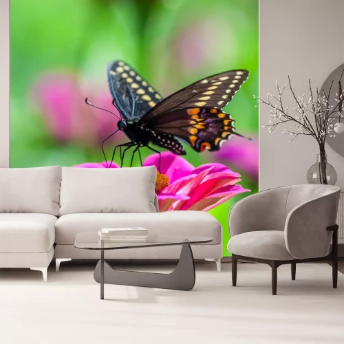 Sticker Zwarte vlinder op een roze bloem