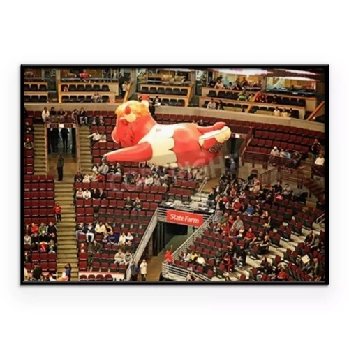 Visualisatie van het product