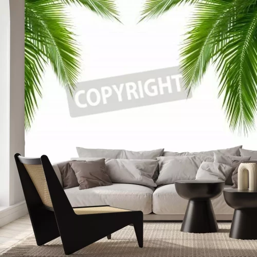 Fotobehang Kokospalmbladeren uit de tropen