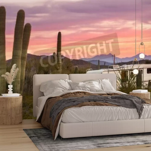 Fotobehang Camper in de woestijn met cactussen